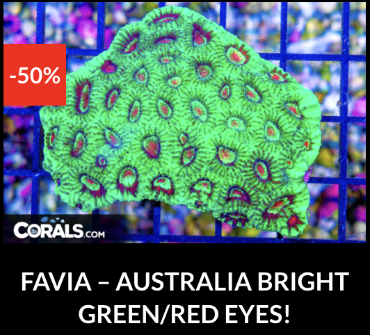 Screenshot 2025-12-28 at 9.49.49 AM.png