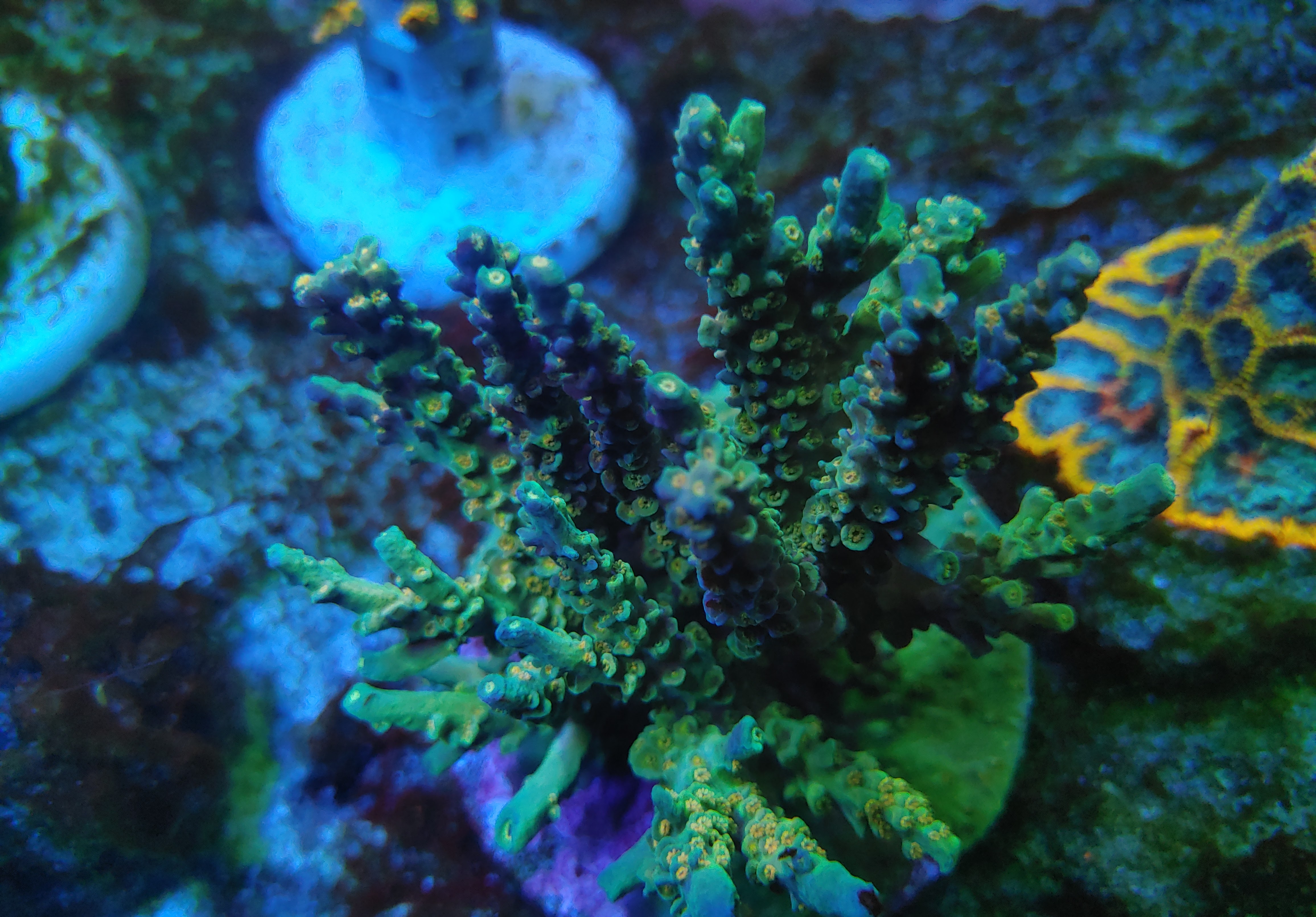20200827_145216.jpg