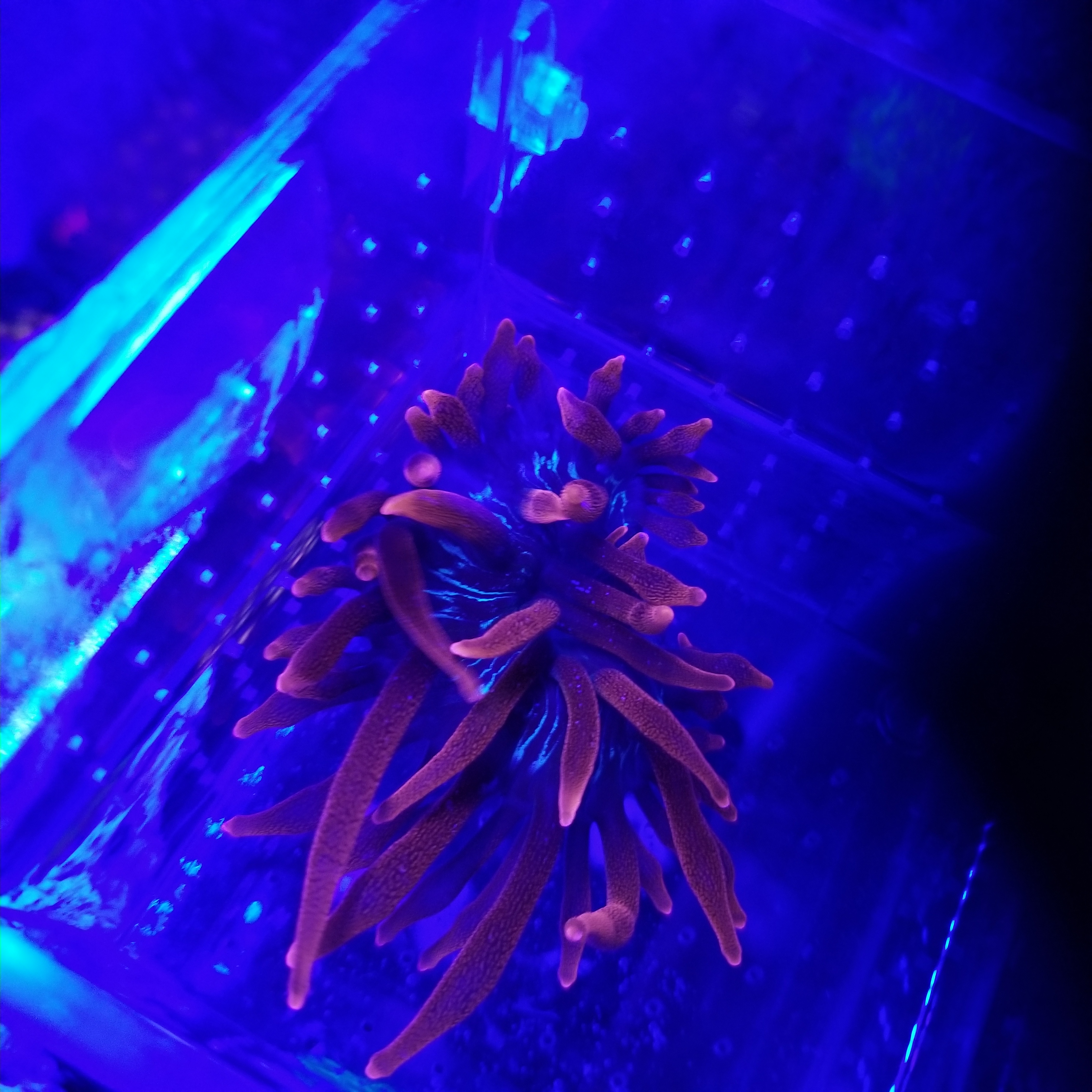 20210628_223033.jpg