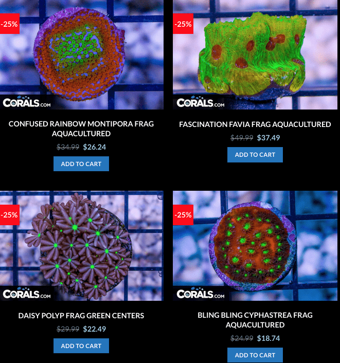 Screen Shot 2023-01-17 at 8.59.00 AM.png