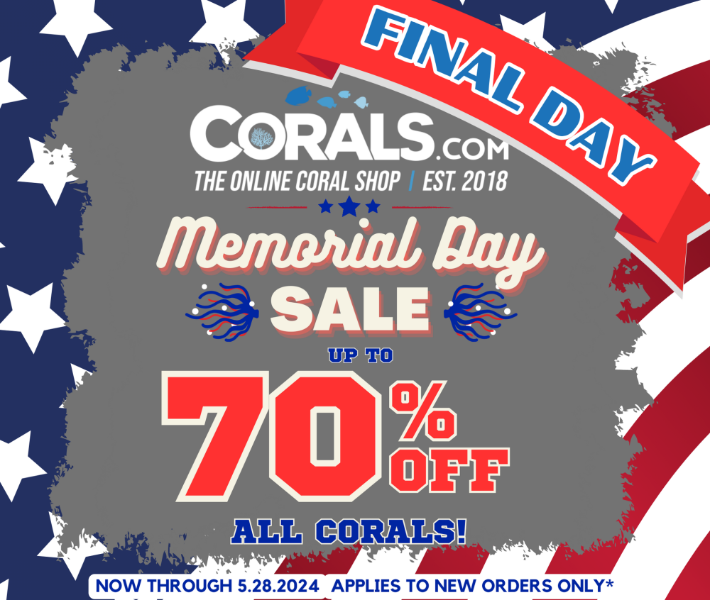 Memorial Day Sale 2024(2).png