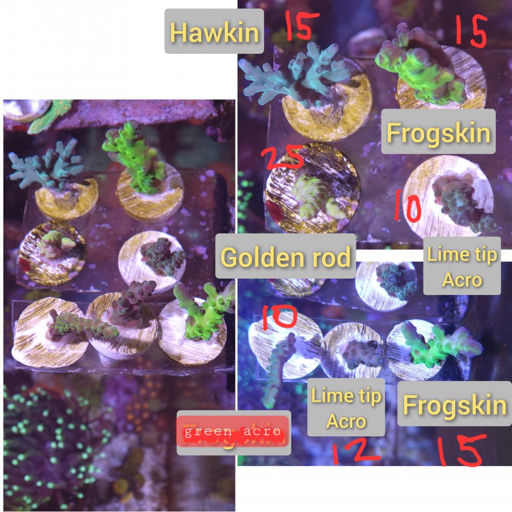 GridArt_20221230_155125029.jpg
