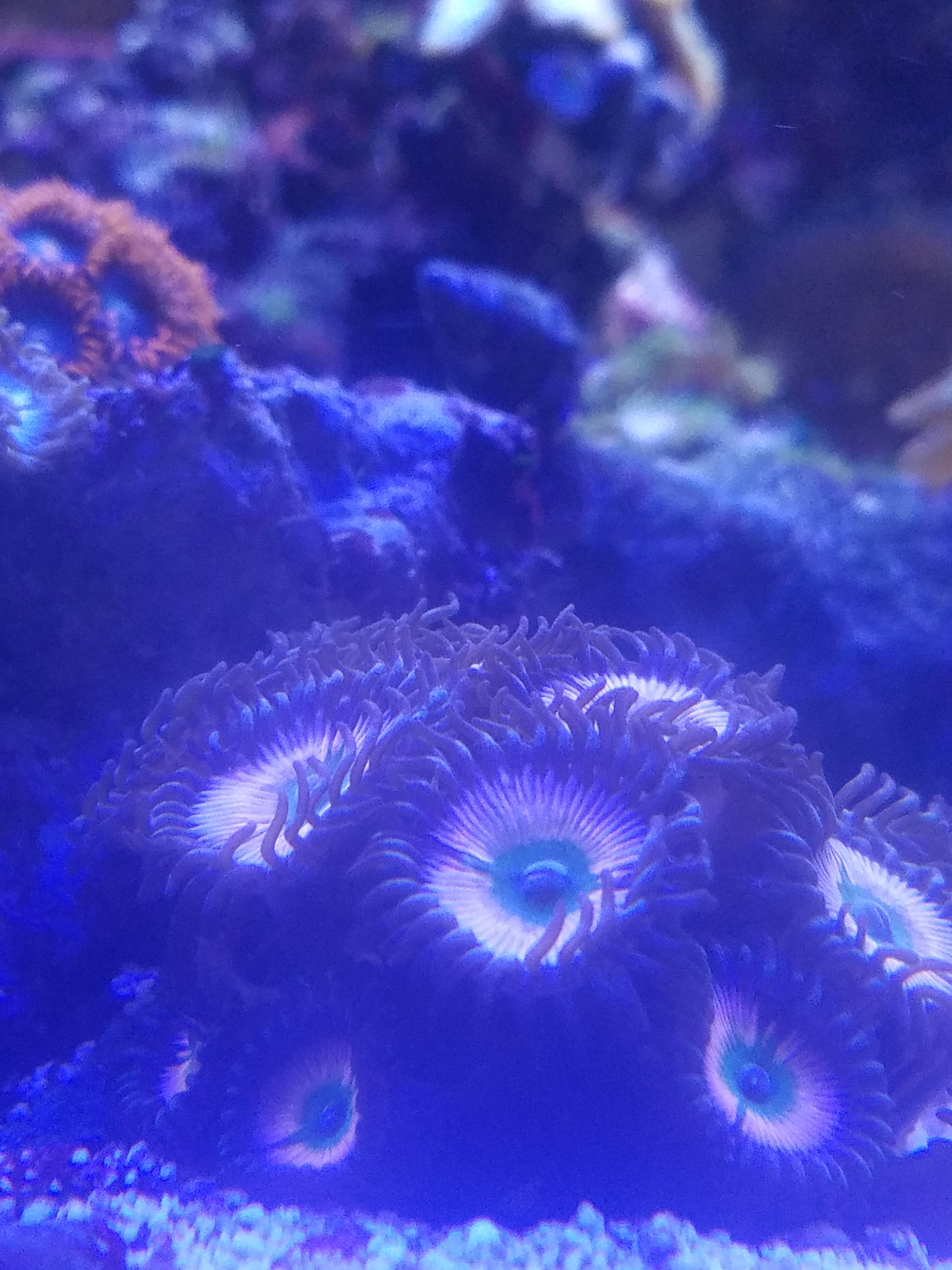 20210716_155046.jpg