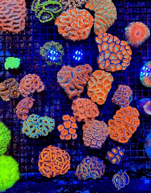 IMG_9641 Medium.jpeg