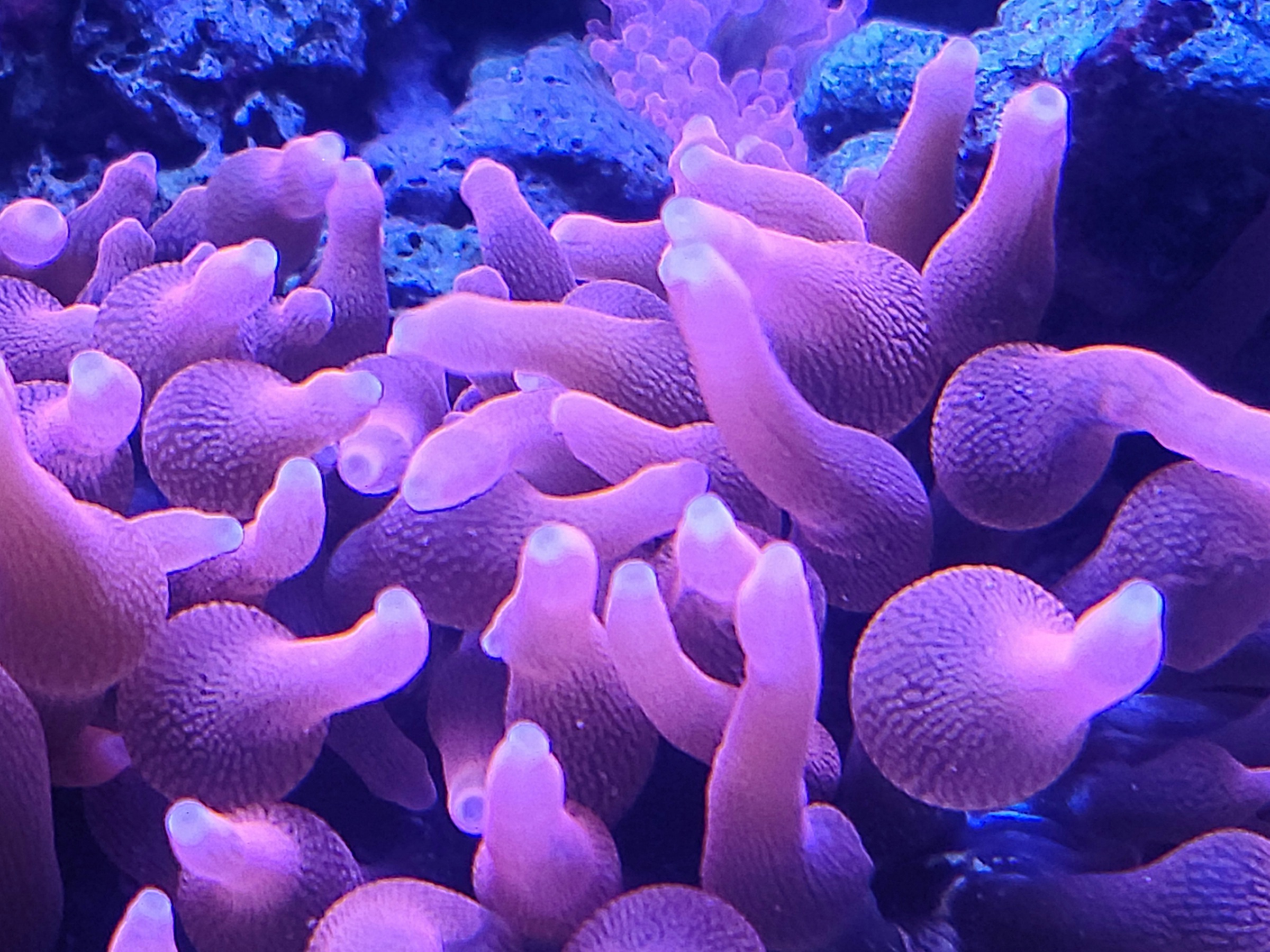 20210911_111905.jpg