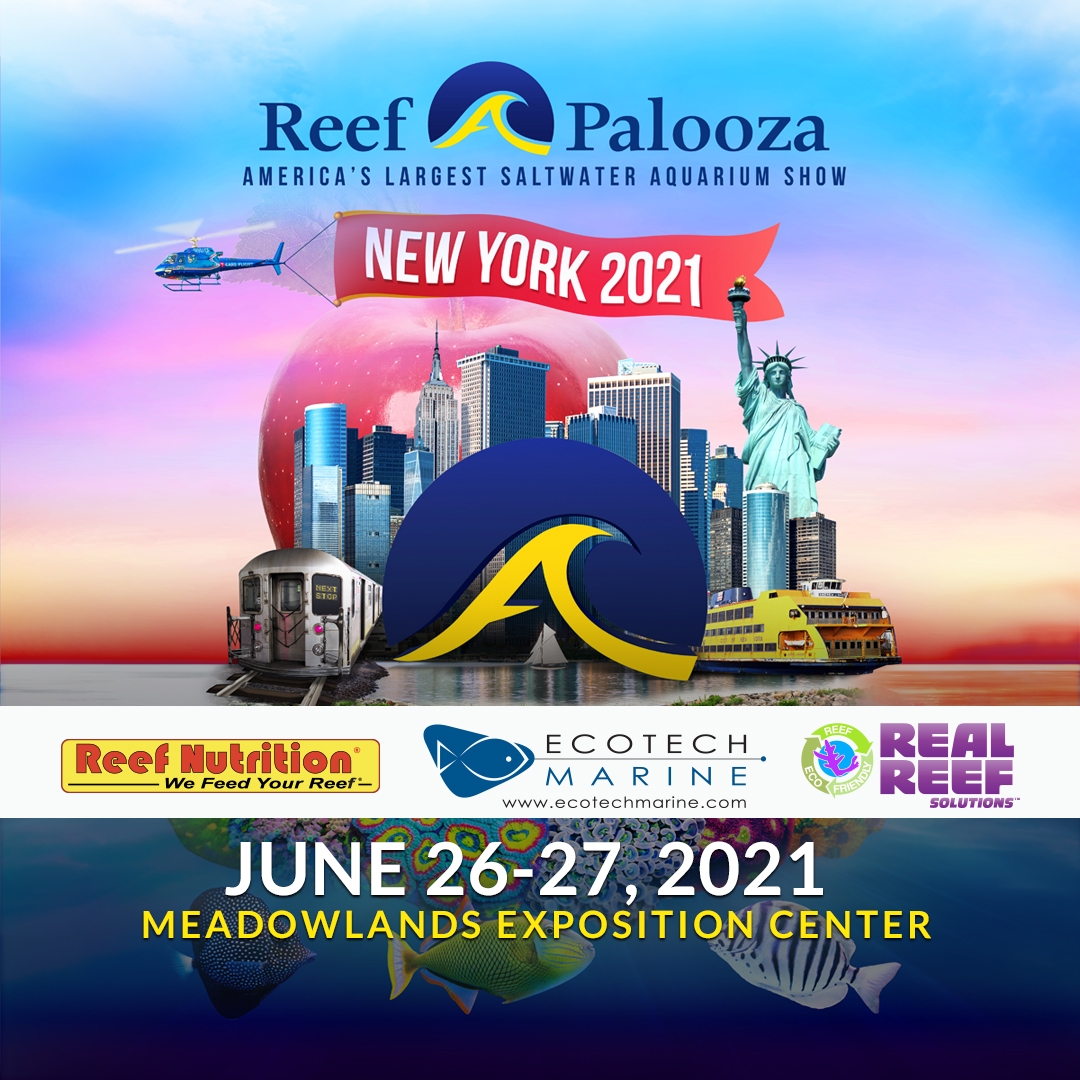 newyork_theme_sponsorsSM1x1.jpg newyork_theme_sponsorsSM1x1.jpg