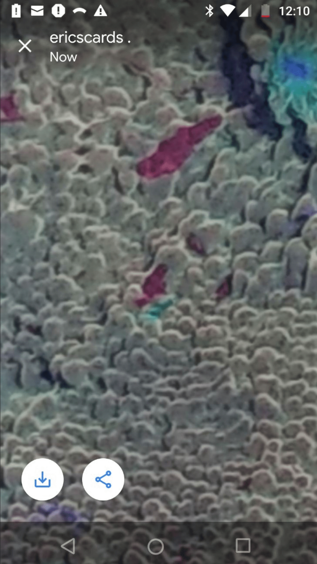 Screenshot_20201007-112545.png