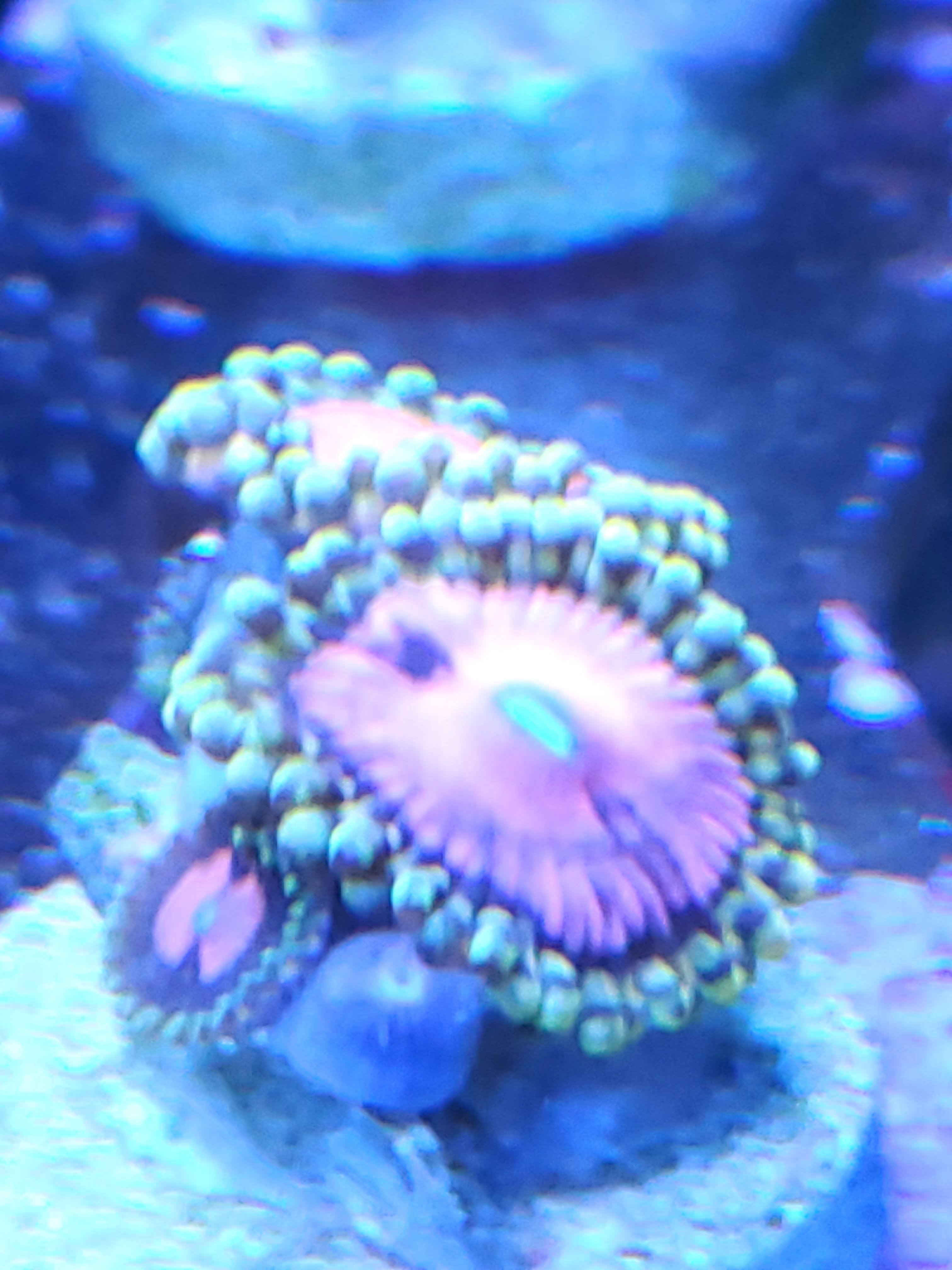 20201124_193902.jpg