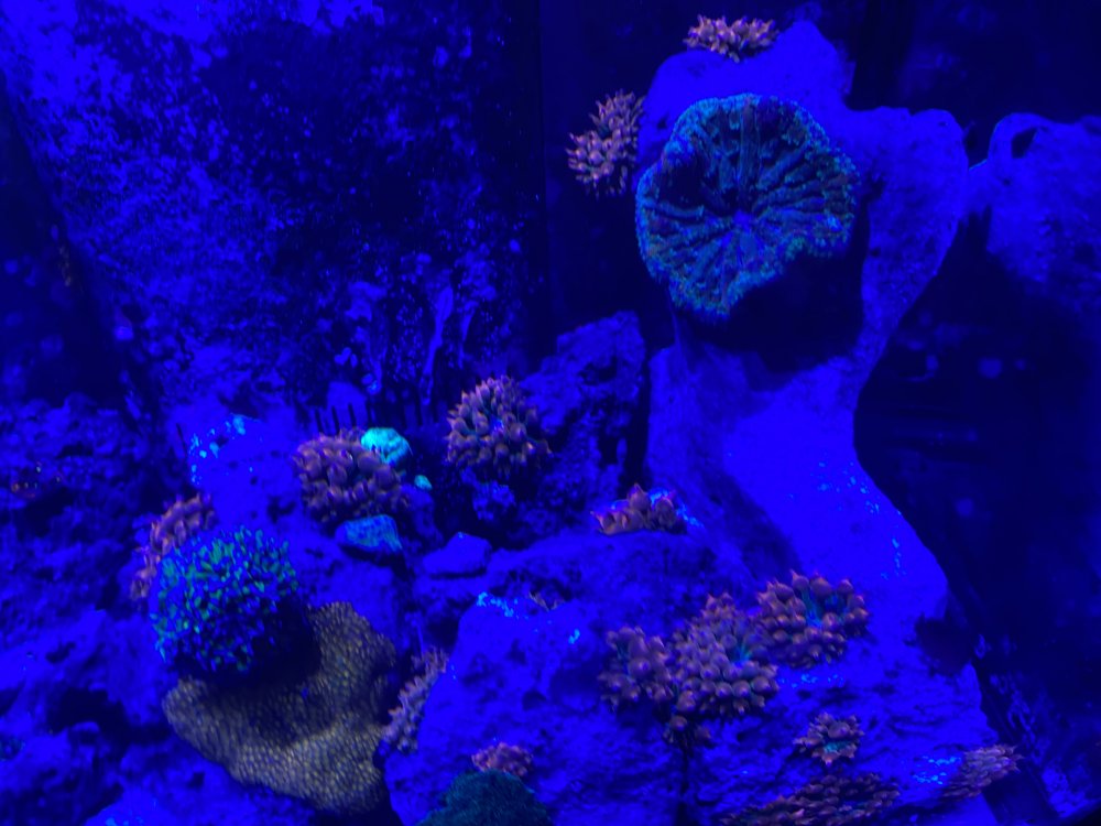 4933A30B-06D1-4C75-AD42-22CC04ECE9ED.jpeg