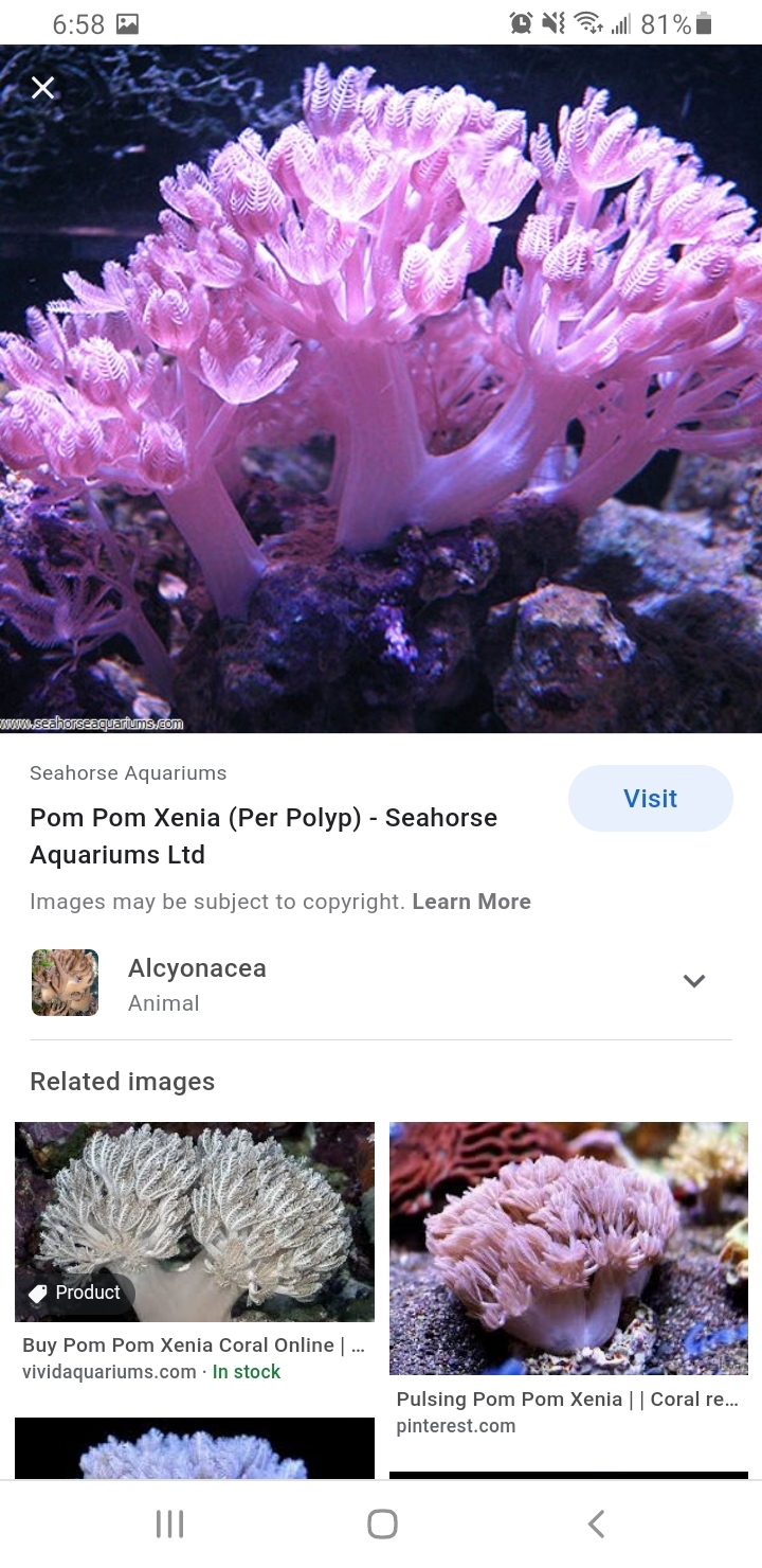 Screenshot_20201212-185823_Chrome.jpg
