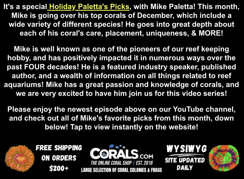 Screenshot 2025-12-18 at 1.19.39 PM.png