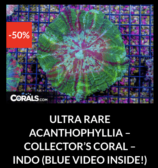 Screenshot 2026-04-09 at 7.08.04 PM.png