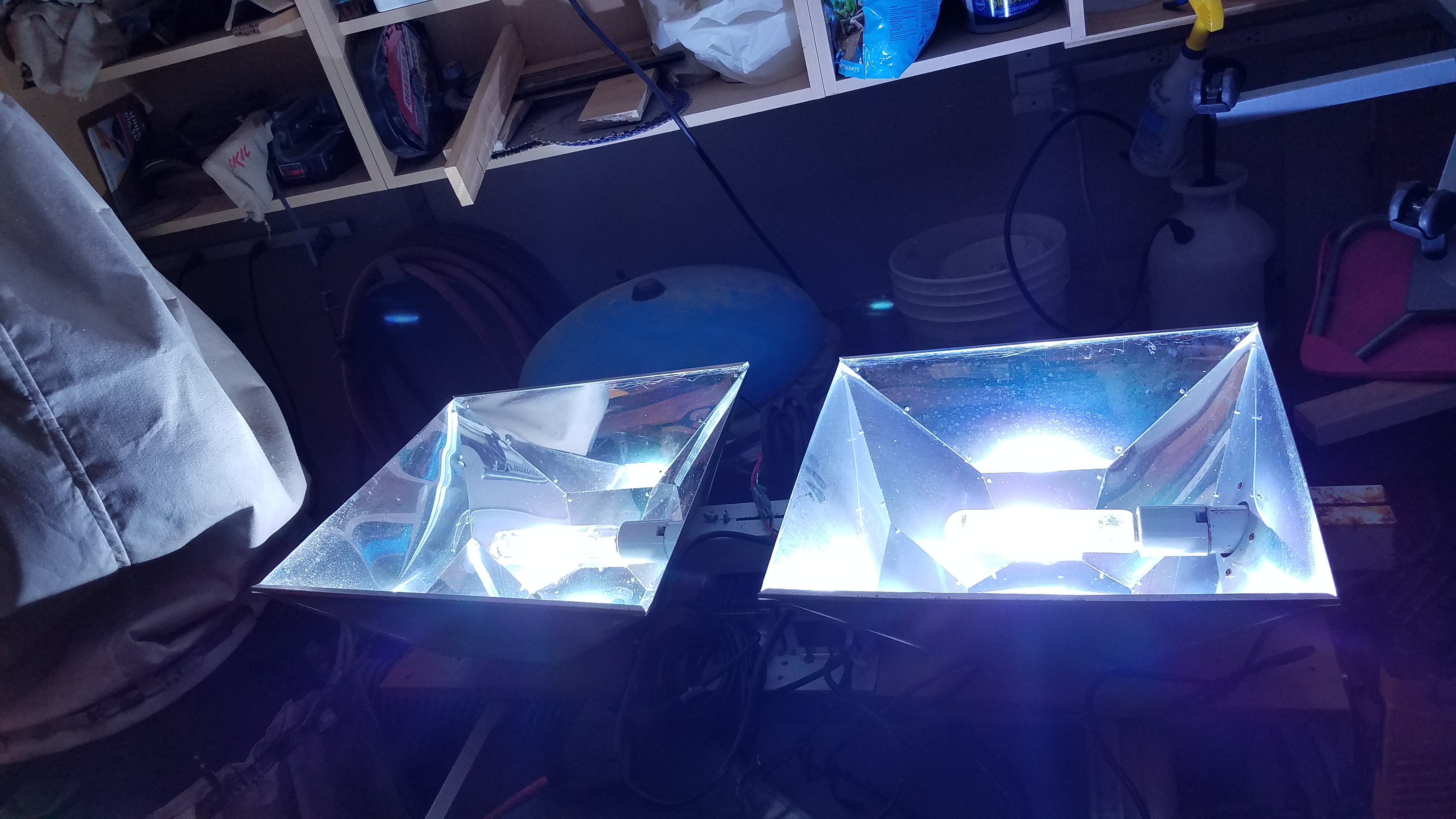 20191005_145237.jpg 20191005_145237.jpg