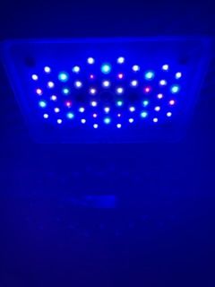 IMG_2461.jpeg