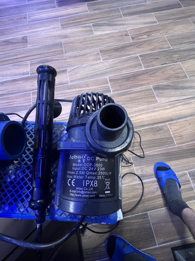 C57CECCB-E90E-4F3B-AF1C-DFB8D79E0561.jpeg