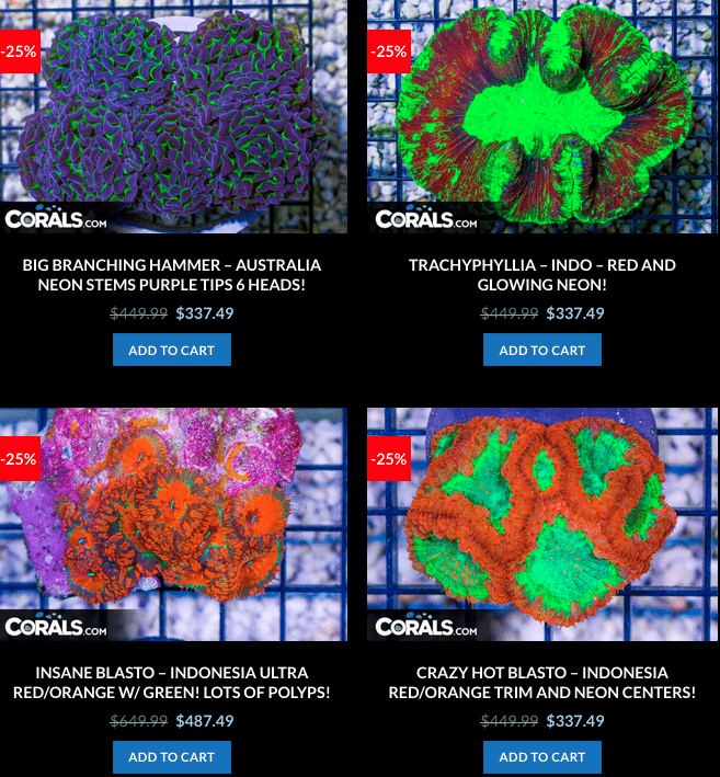 Screen Shot 2023-01-24 at 9.04.32 AM.png