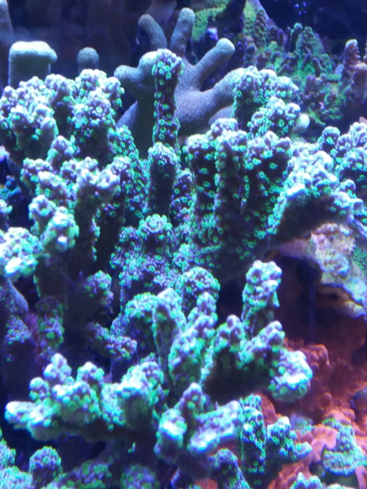 20220421_145617.jpg 20220421_145617.jpg