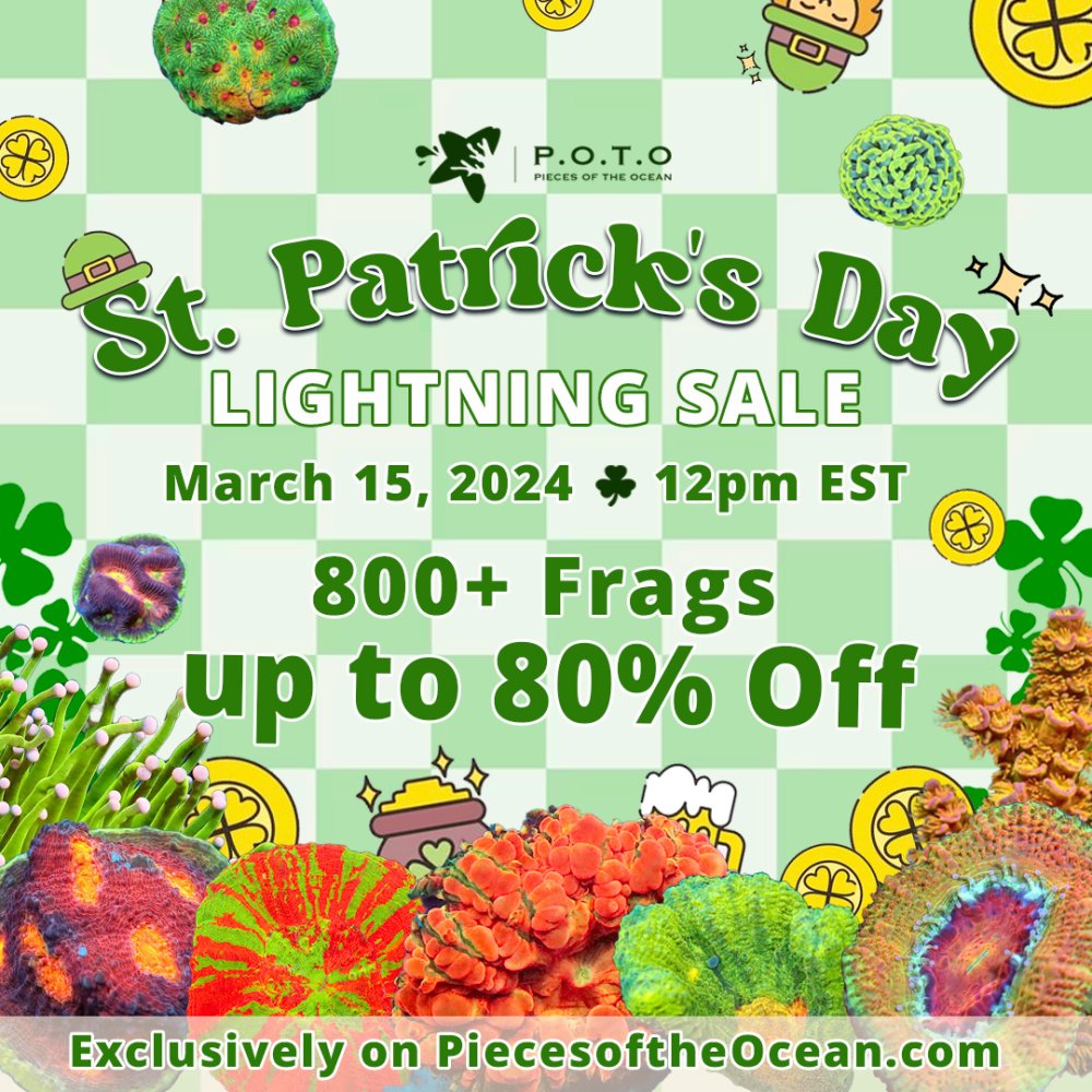 StPatDay.jpg StPatDay.jpg
