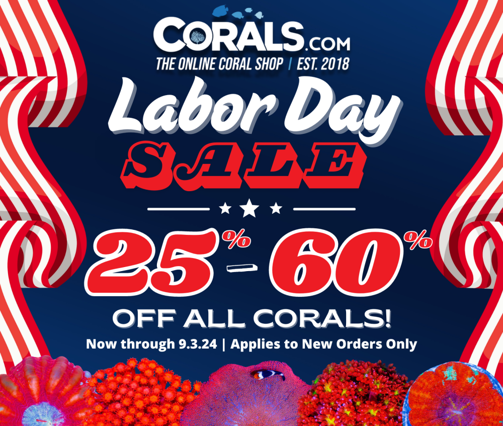 Labor Day '24(1).png Labor Day '24(1).png