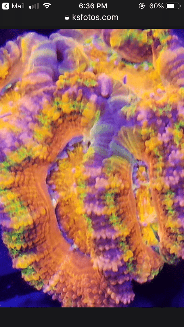 BF0549C3-D71C-4DB4-B5DB-6222EBAA7BC9.png