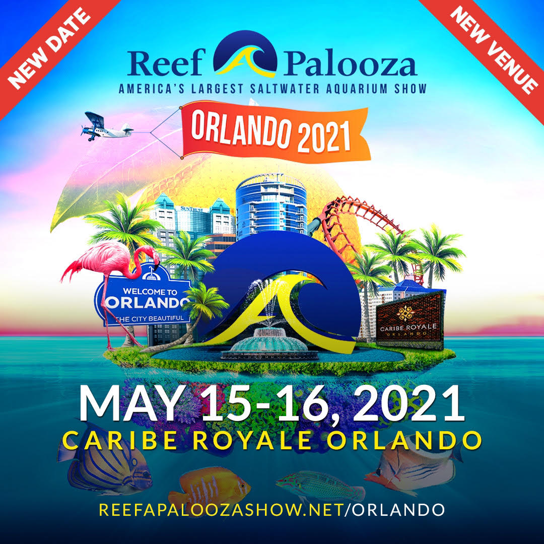 RAP Orlando 2021-Announcement.jpg RAP Orlando 2021-Announcement.jpg