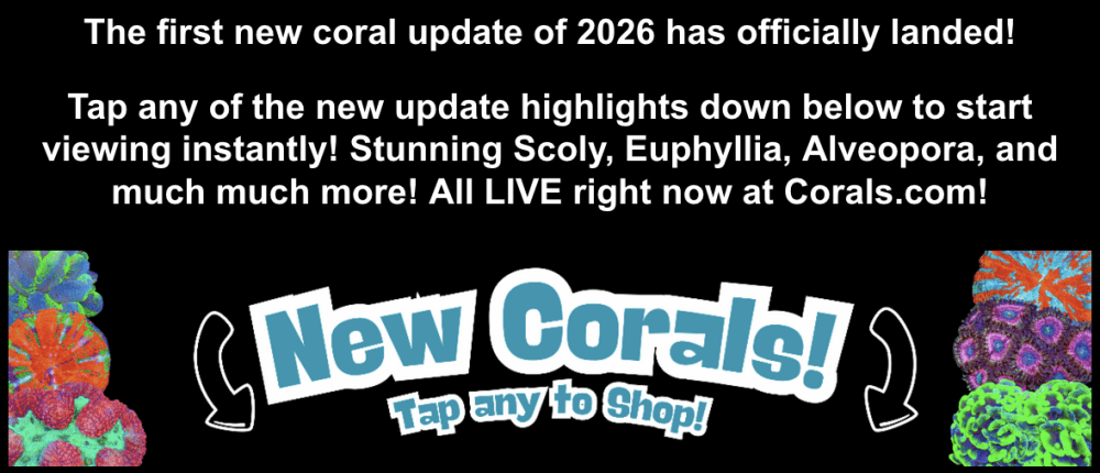 Screenshot 2026-01-08 at 12.47.19 PM.png