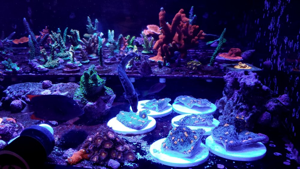 20220518_151506.jpg 20220518_151506.jpg