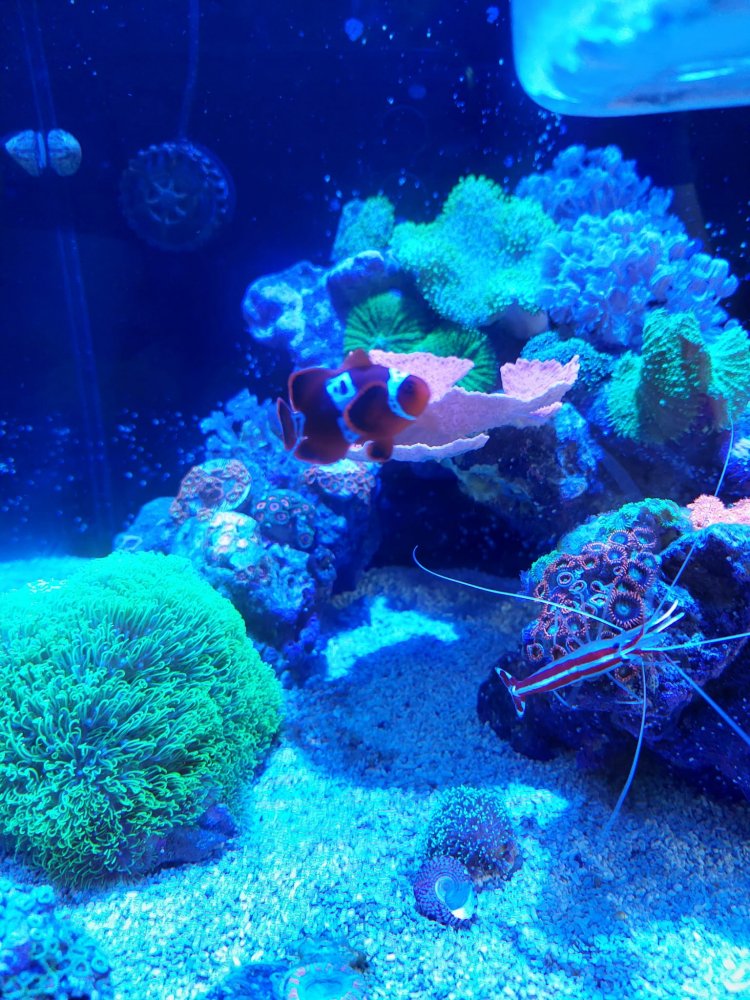 WhatsApp Image 2022-08-04 at 1.12.26 PM.jpeg