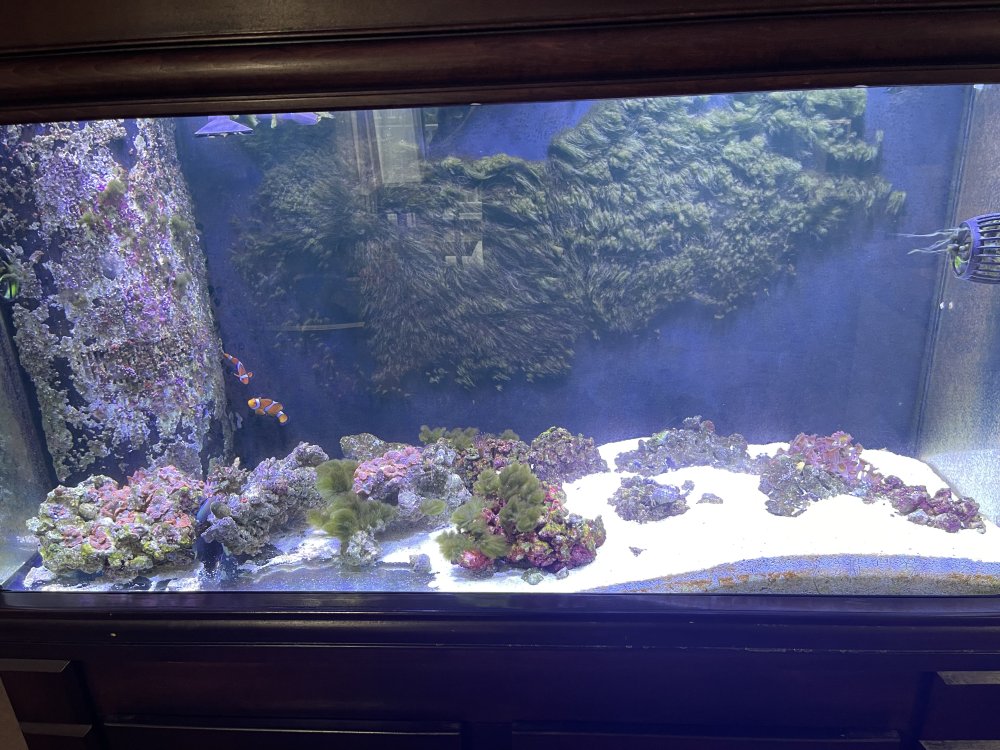 image_50436353.JPG