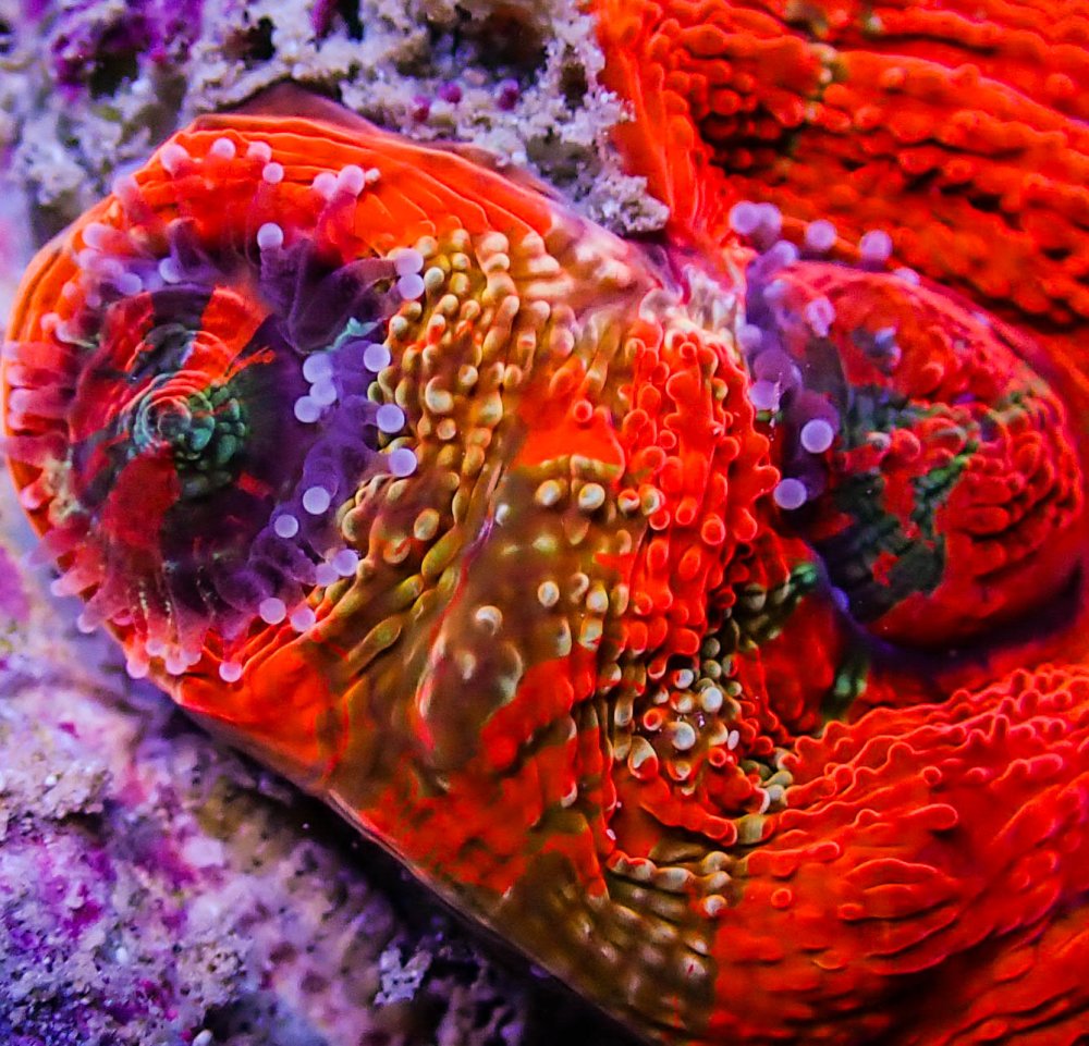 P5240009.jpg