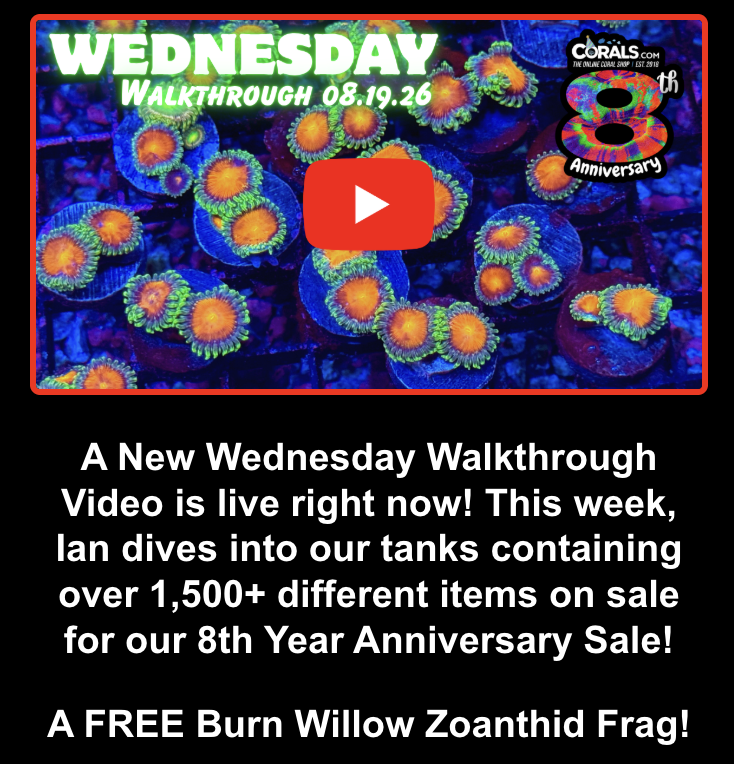 Screenshot 2026-08-19 at 5.44.48 PM.png