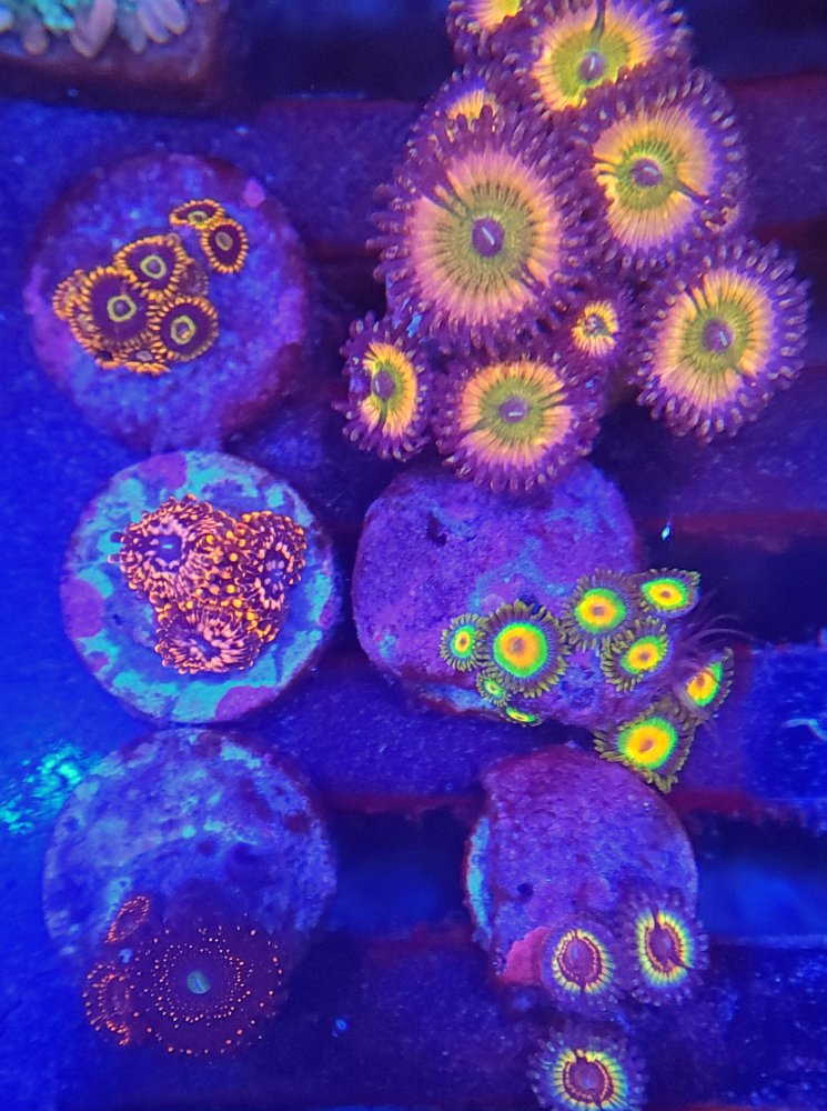 20221208_144823.jpg
