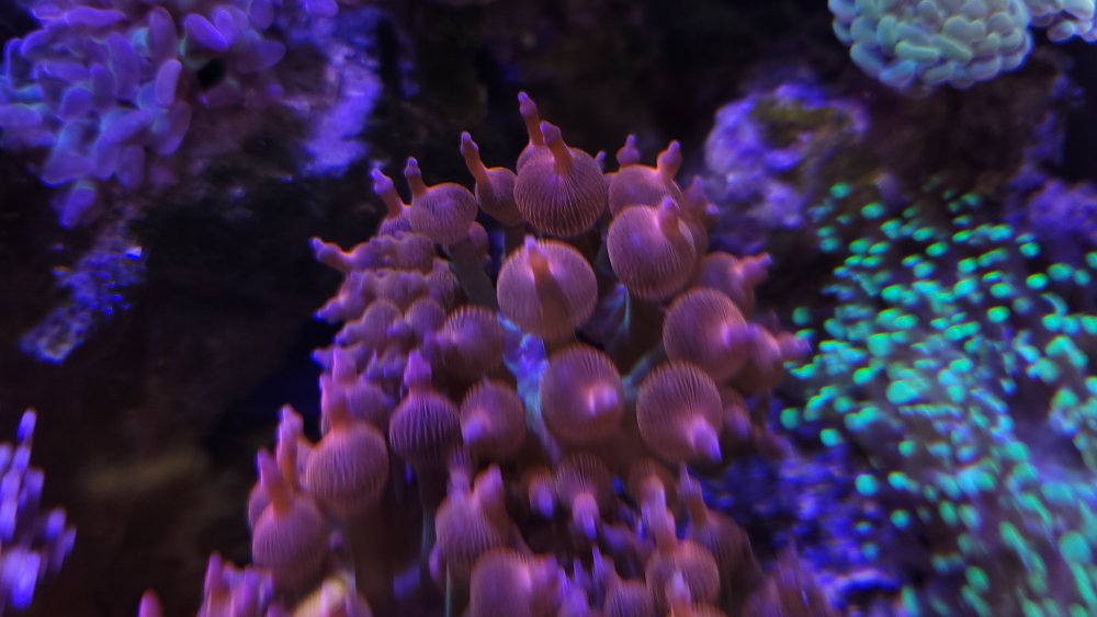 20240815_170644.jpg