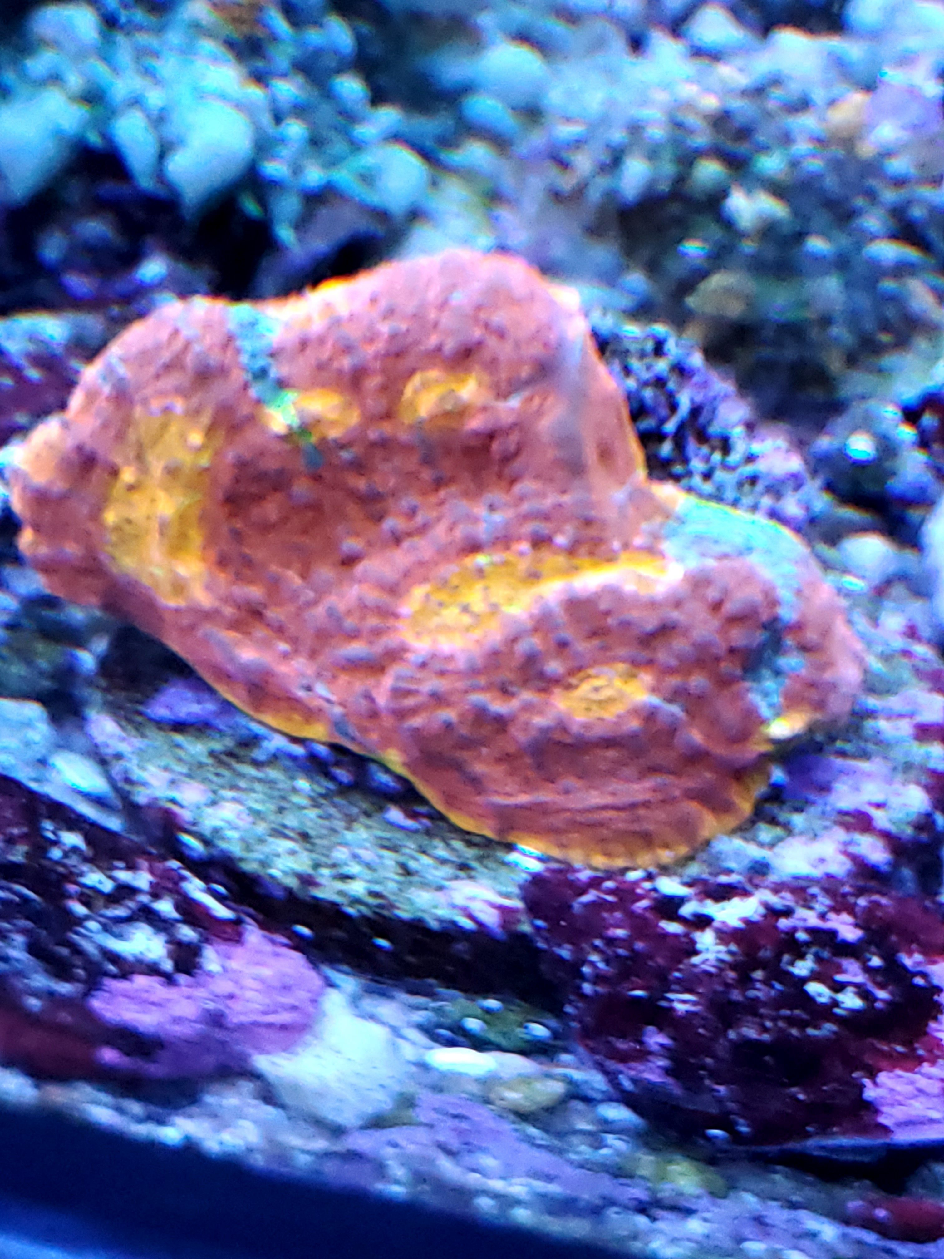20201107_201731.jpg