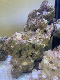 IMG_5269.jpg IMG_5269.jpg