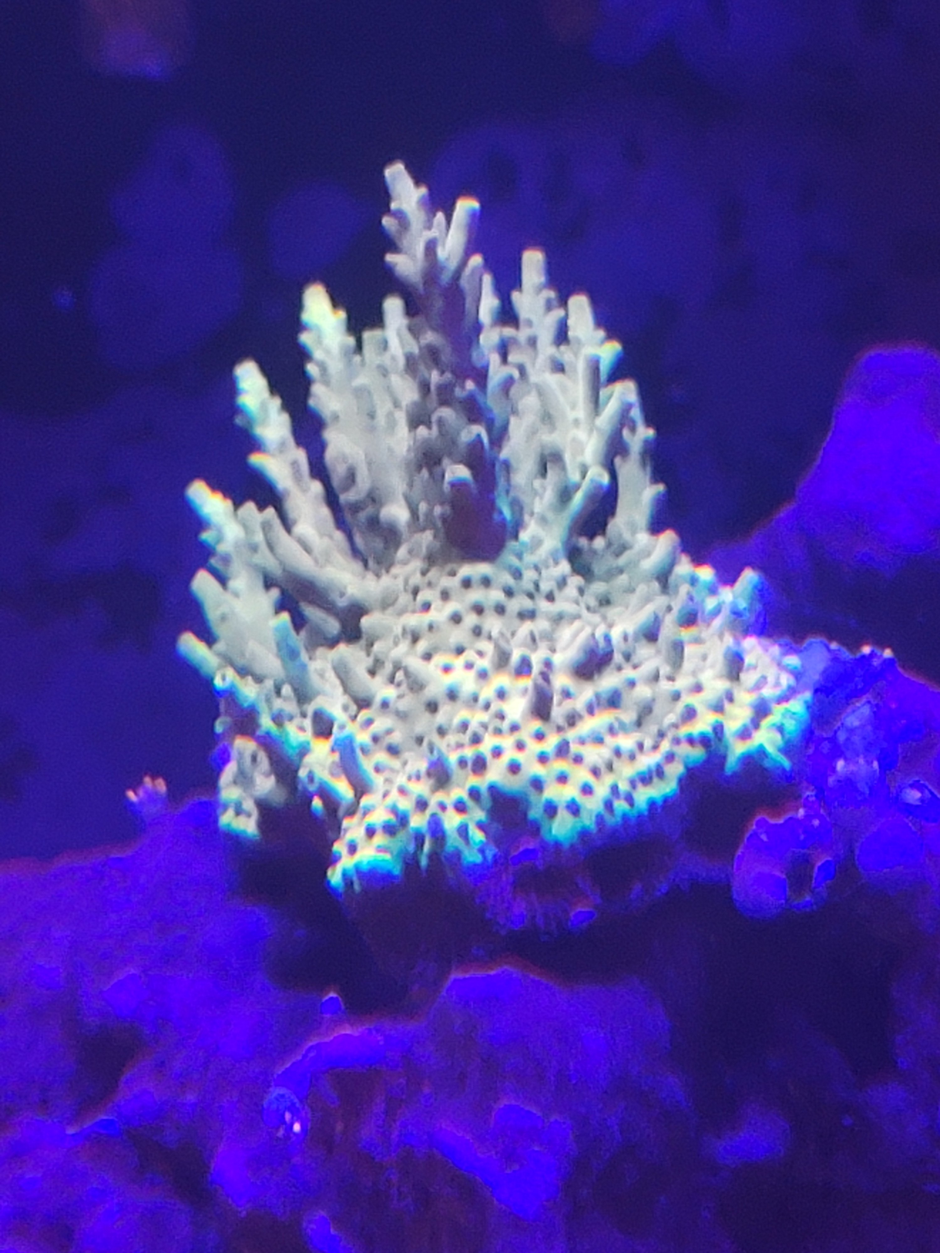 20210409_204249.jpg