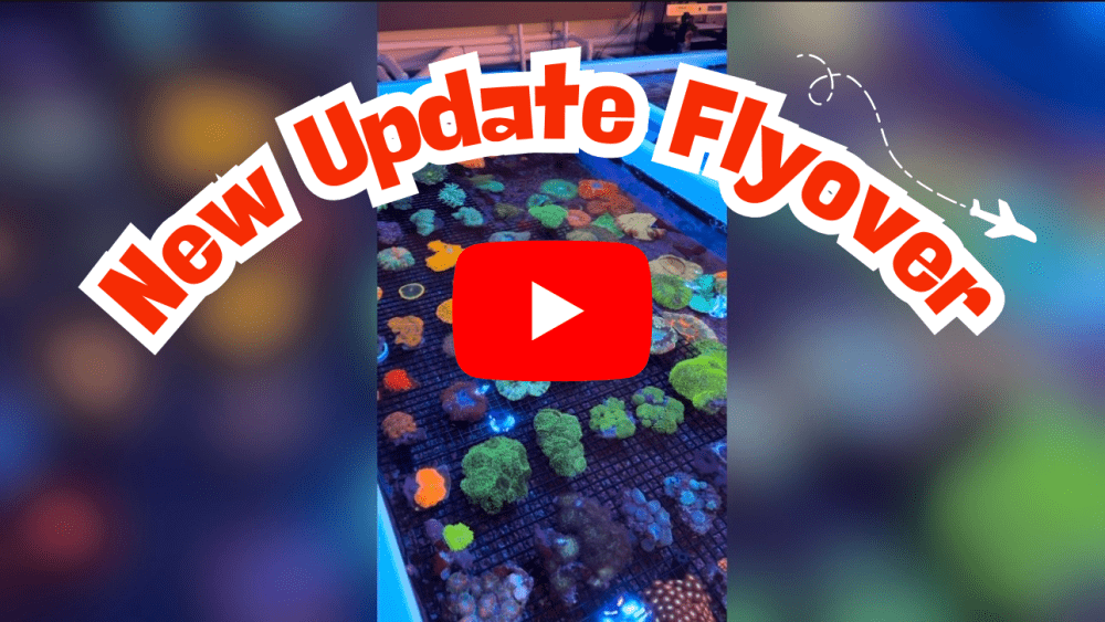 New Update Flyover.png