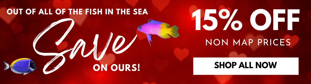 Aquarium Specialty Sale Website (34).png Aquarium Specialty Sale Website (34).png