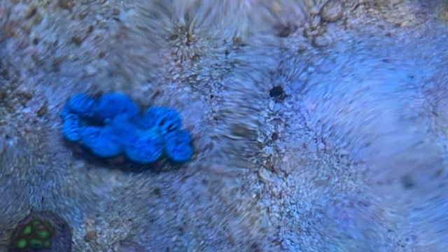 5D47C4FB-25D2-4FB8-9B41-D2FBA55F1A03.jpeg
