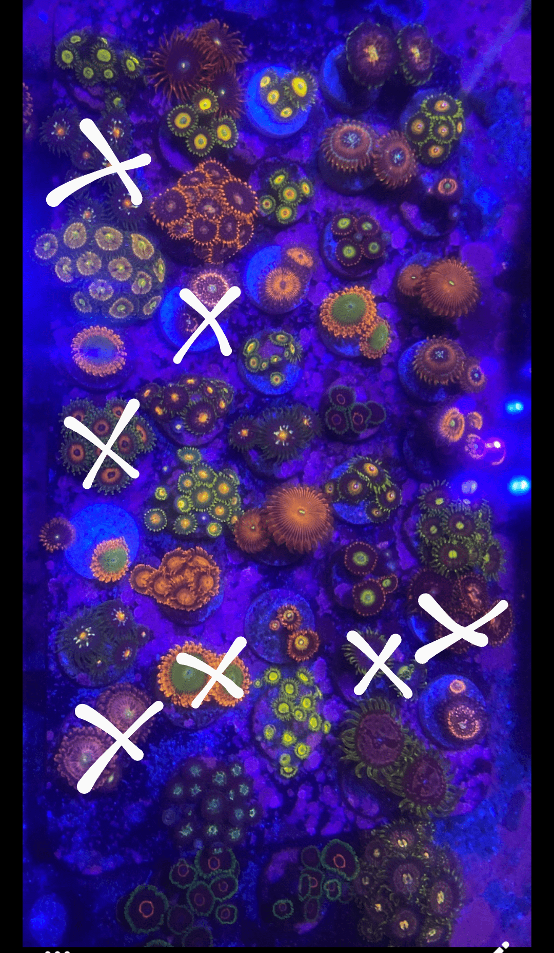 Screenshot_20201125-145040~5.png