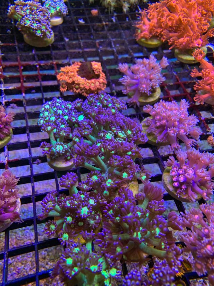 WhatsApp Image 2022-05-06 at 5.44.10 PM (5).jpeg