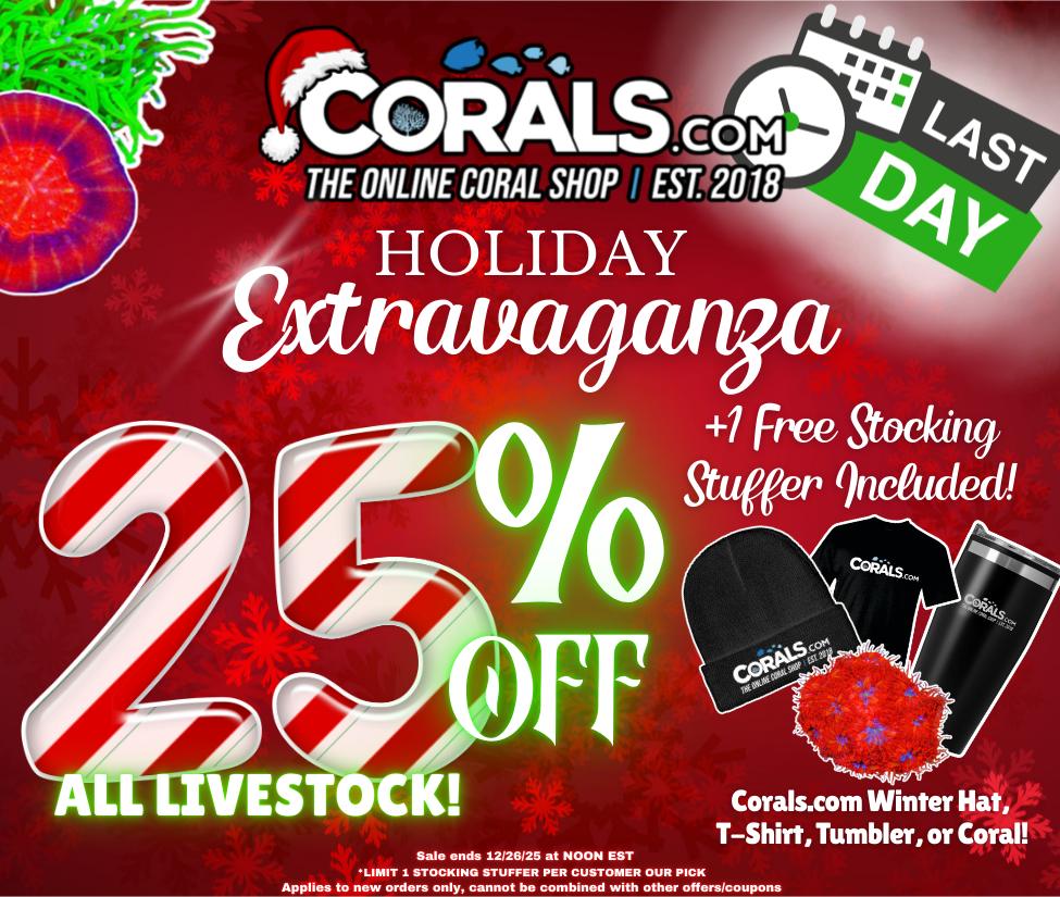 Holiday Sale Week 3 (2).png