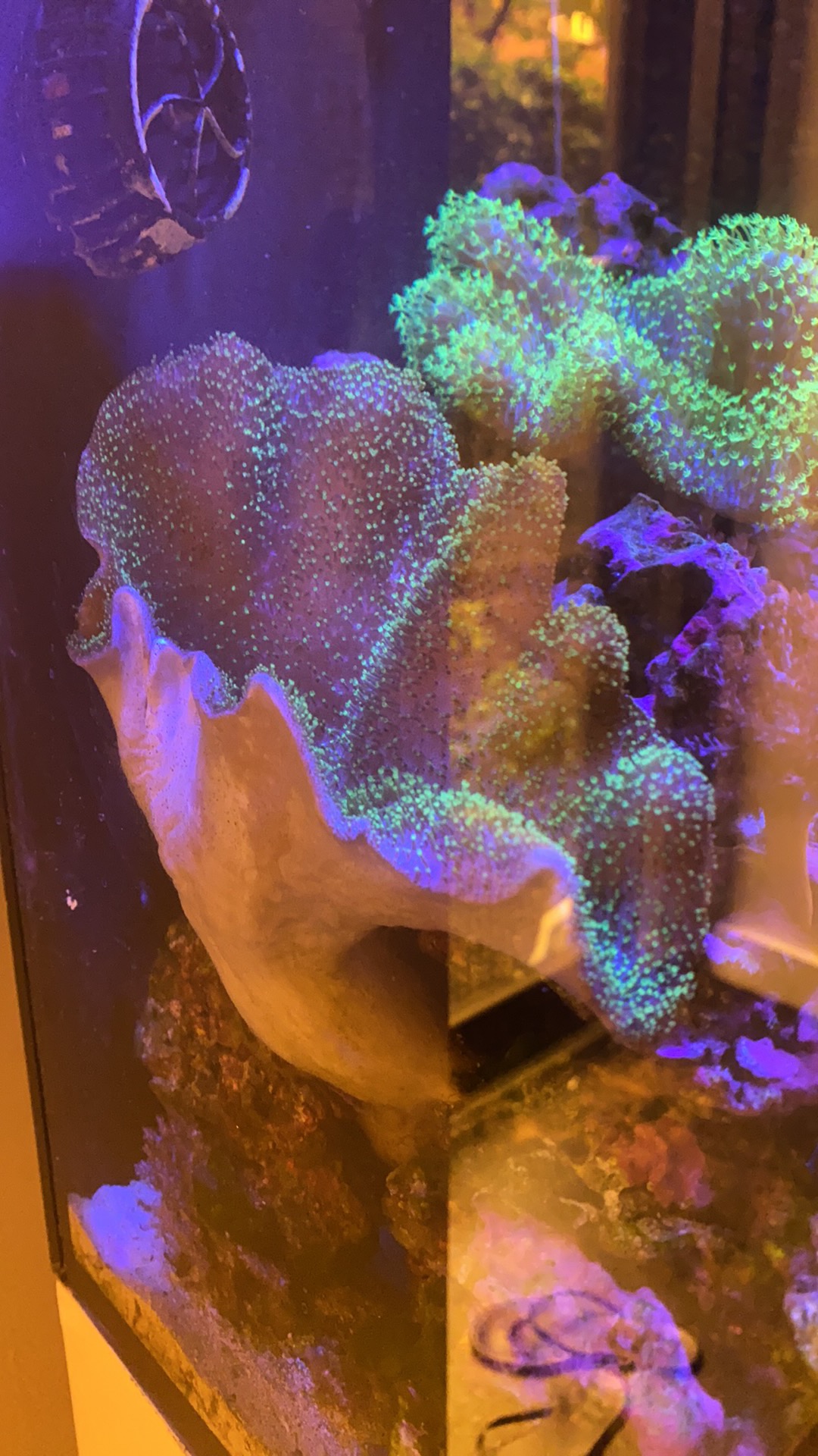 6F2682B4-CAC1-4681-A842-5FD763C788E3.jpeg