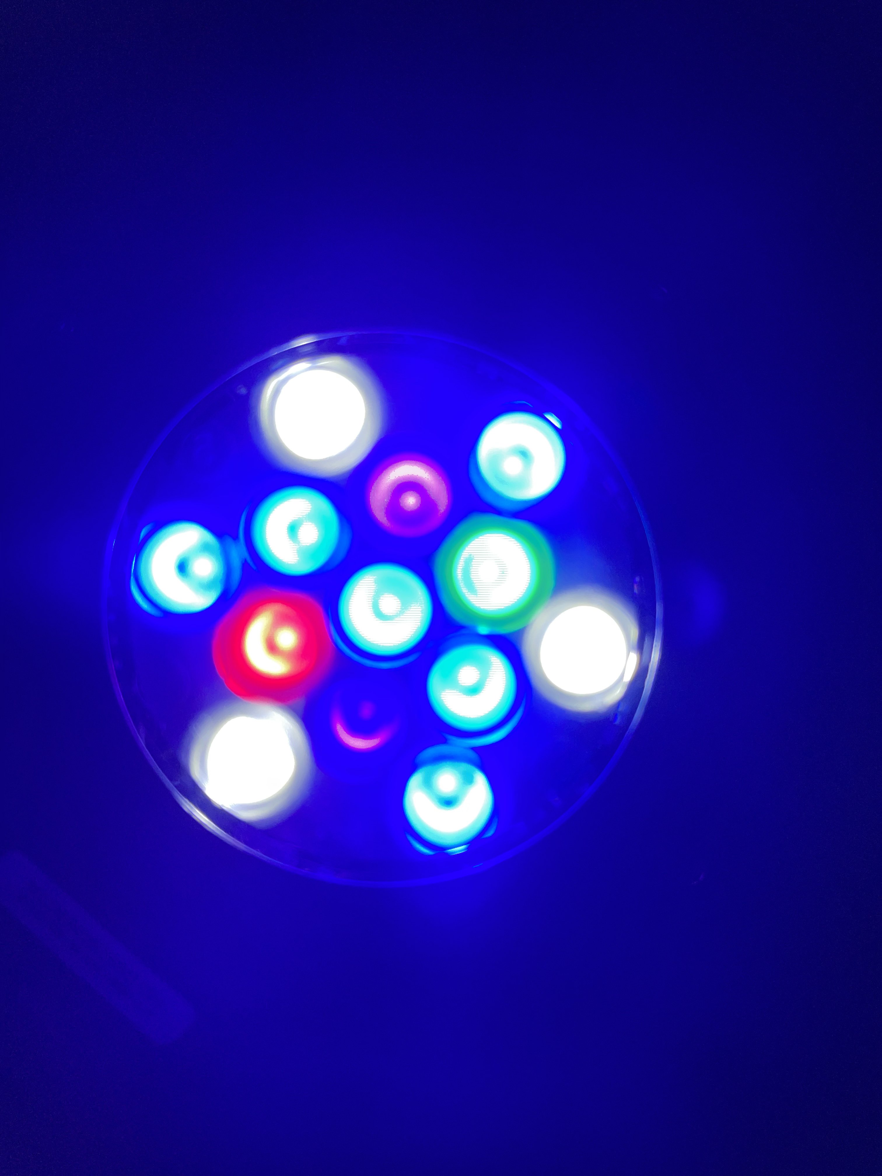 4C7CA672-BB34-4AD6-863D-C9F88CFB9EB1.jpeg 4C7CA672-BB34-4AD6-863D-C9F88CFB9EB1.jpeg
