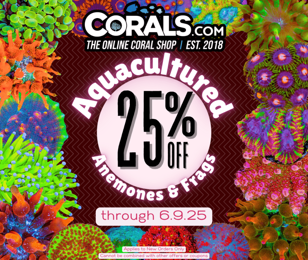 AQ Sale 2025 june(1).png