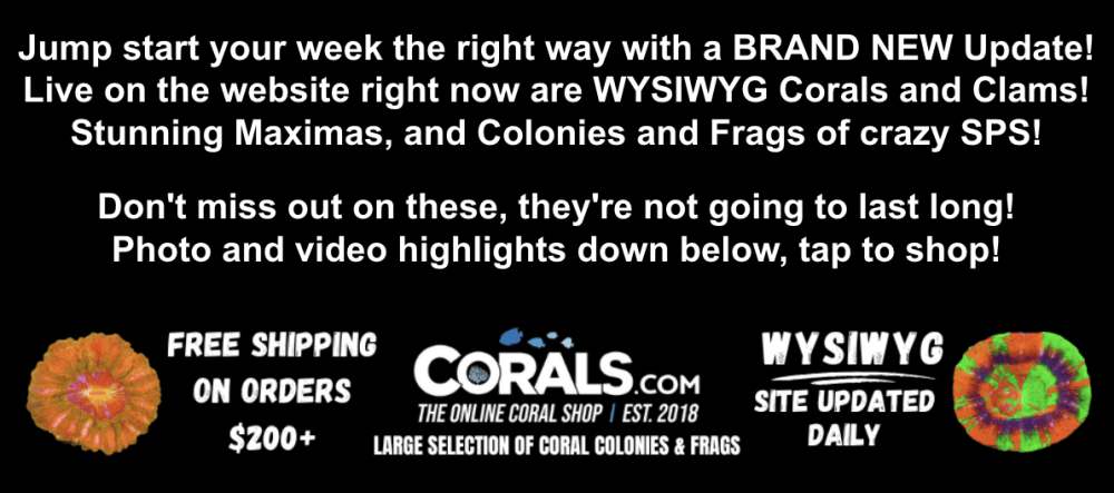 Screenshot 2025-11-10 at 2.44.22 PM.png