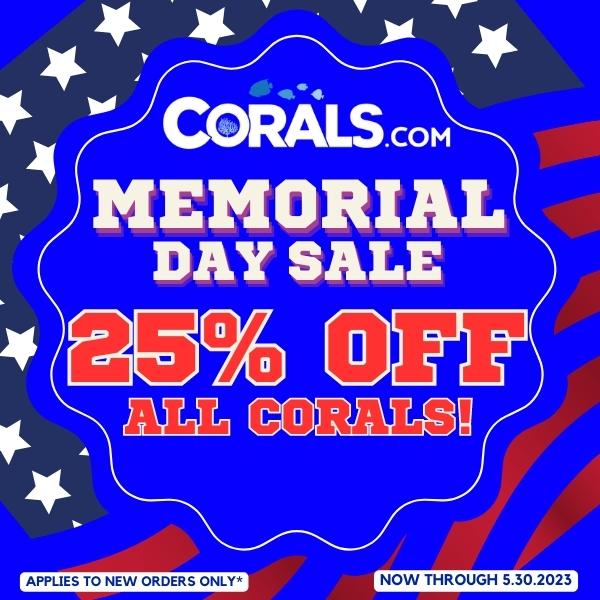 Copy of Copy of Memorial Day Monday 2 Days left!(1).jpg