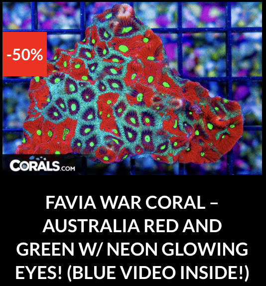 Screenshot 2025-12-28 at 9.50.30 AM.png