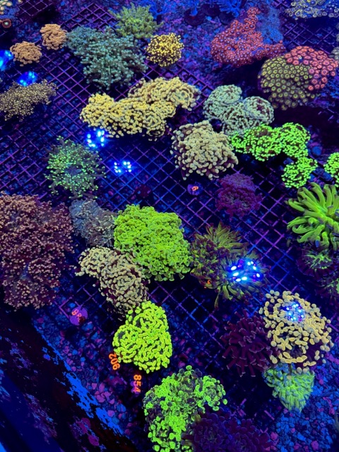 IMG_9649 Medium.jpeg