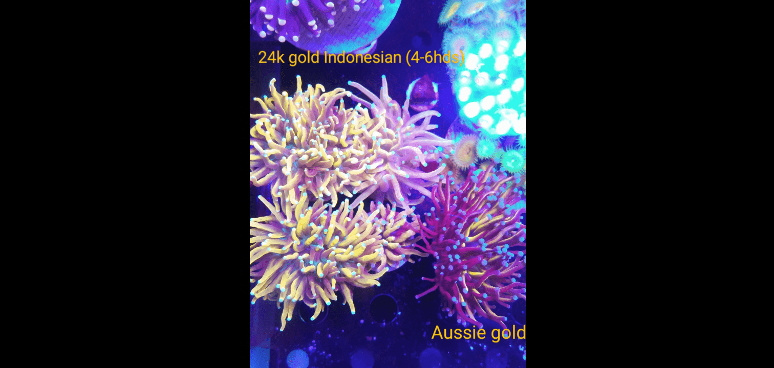 Screenshot_20210908-124357.png
